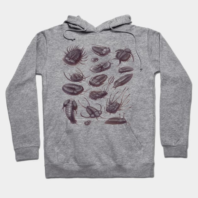 Trilobite Fossils Hoodie by Wagglezags